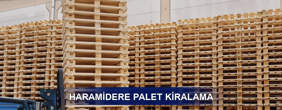 Haramidere Uzun Dönem